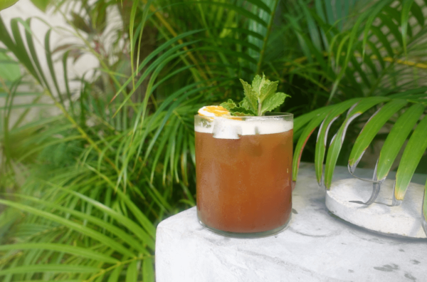 gourmet coffee served on table surrounded by plants